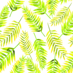 palm leaves blog